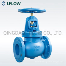 BS5152 E04 DN100 Pn16 Flanged Ends Cast Iron Globe Valve Price